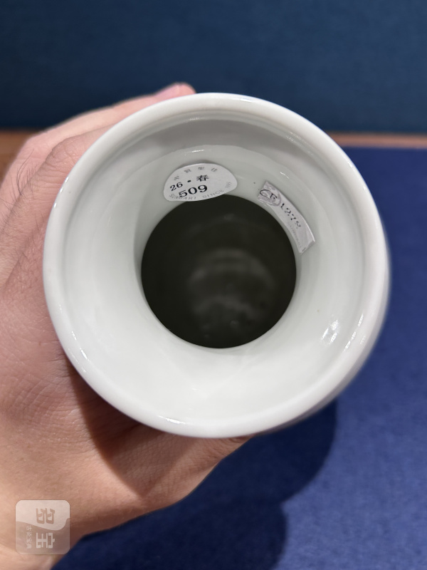 民国 粉彩乾隆鸡缸杯图胆瓶 - 图6
